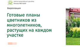 Готовые планы цветников из многолетников, растущих на каждом участке