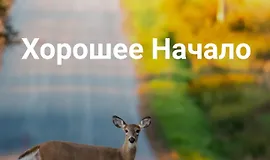 Хорошее начало