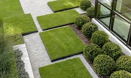 Идеальный газон своими руками: пошаговое руководство