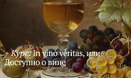 In vino veritas, или Доступно о вине logo