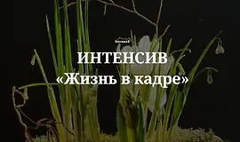 Интенсив Жизнь в кадре