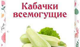 Кабачки всемогущие 2.0 logo