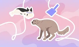 Как приучить питомца к туалету