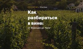 Как разбираться в вине: от Франции до Чили logo