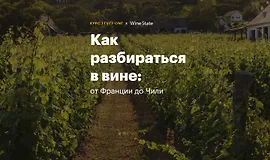 Как разбираться в вине: от Франции до Чили