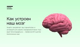 Как устроен наш мозг logo