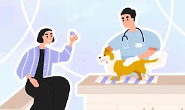 Как выбрать ветеринара