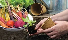 Как вырастить что угодно: садоводство для всех