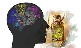 Как выйти из сети пассивного режима мозга с помощью Ароматерапии