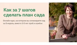 Как за 7 шагов сделать план сада