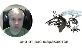 Клещи, комары, клопы и мошка - как защитить людей и животных с помощью эфирных масел?