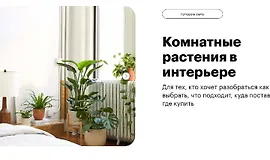 Комнатные растения в интерьере
