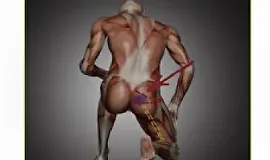 Красивые ягодицы. Импиджмент ТБС. Синдром грушевидной мышцы