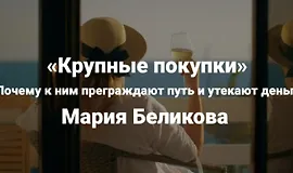 Крупные покупки. Почему к ним преграждают путь и утекают деньги