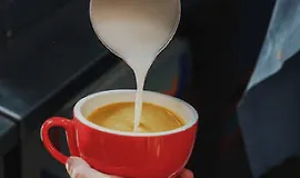 Курс для бариста Barista Skills