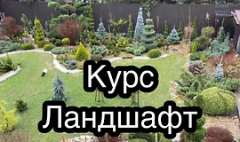 Курс Ландшафт