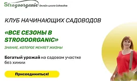 Курс начинающего садовода для занятых женщин с помощью методики "Нисо"
