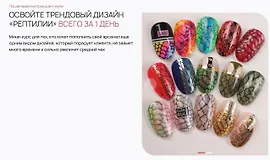 Курс по дизайну «Рептилии»
