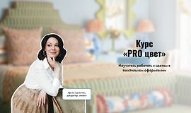 Курс Pro цвет logo