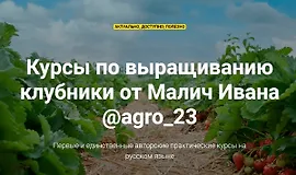Курсы по выращиванию клубники