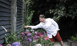 Ландшафтный дизайн (Илья Васецкий)