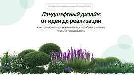 Ландшафтный дизайн: от планирования до реализации