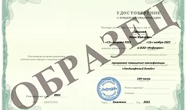 Ландшафтный дизайн