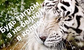 Марафон Исполнение желаний за 180 дней