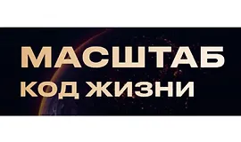 Масштаб. Код жизни