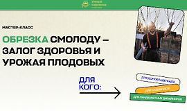 Мастер-класс Обрезка смолоду - залог здоровья и урожая плодовых logo