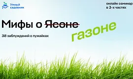 Мифы о газоне. 38 заблуждений о лужайках