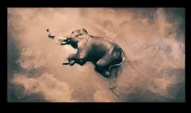 Минимализм в фотографии от А до Я