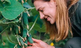 Мир огурцов