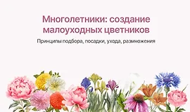 Многолетники: Создание малоуходных цветников