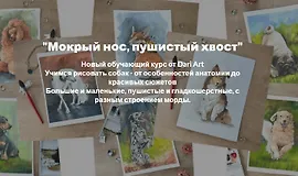 Мокрый нос, пушистый хвост