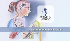 Мозг, воплощенный в теле logo