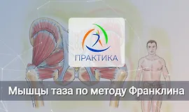 Мышцы таза по методу Франклина
