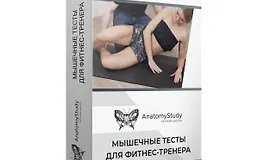 Мышечные тесты для фитнес тренера