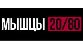 Мышы 20/80