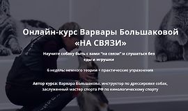 На связи logo