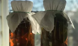 Напитки для застолья. Ферментируем со специями