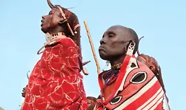 Народы и культуры мира