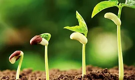 Наука о садоводстве