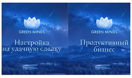 Нейромедитации GREEN MINDS «Настройка на удачную сделку», «Продуктивный бизнес»