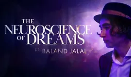 Нейронаука сновидений