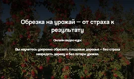 Обрезка на урожай — от страха к результату