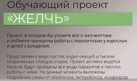 Обучающий проект Желчь logo