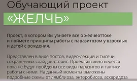Обучающий проект Желчь
