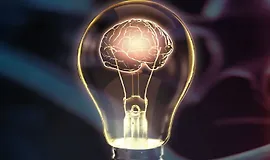 Обучающийся мозг