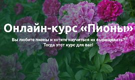 Онлайн-курс «Пионы» logo